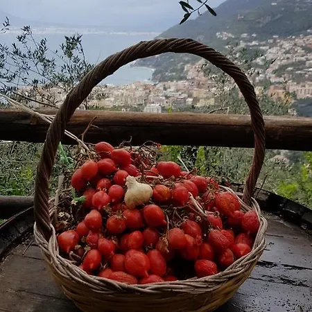 Rosa Di Nonna Rosa Летний дом