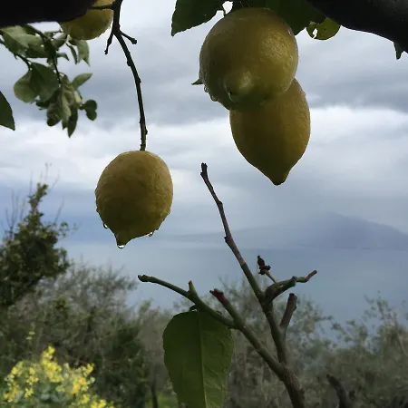 Casa di campagna Rosa Di Nonna Rosa *