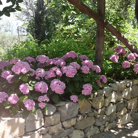 Rosa Di Nonna Rosa Casa di campagna